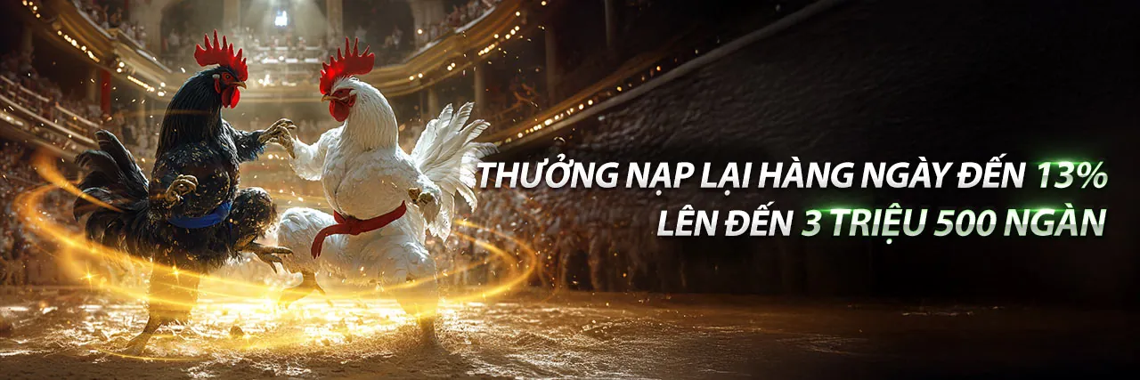 Sân đấu đá gà kịch tính với khán giả cổ vũ tại m99 đá gà
